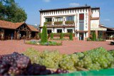 В хозяйстве Cramele Recas помимо инвестиций в производство вина активно вкладываются и в развитие энотуризма 