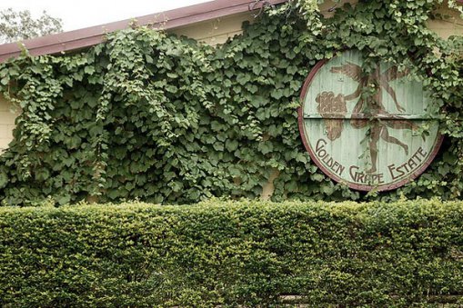 Хозяйство Golden Grape в Hunter Valley стало первым австралийским приобретением компании Winston Wines Pty, владеющей магазинами по реализации алкоголя в материковом Китае 