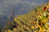 Zind-Humbrecht. Гран крю виноградник Rangen de Thann, смотрящий на городок Thann во французском Эльзасе